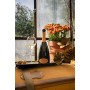 Bellavista Grande Cuvée Alma Brut Astucciato - 750 ml
