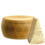 FORMAGGIO TRENTINGRANA D.O.P OLTRE 16 MESI | LATTE TRENTO