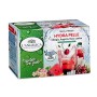 L'Angelica, Tisana A Freddo Hydra Pelle, a Base di Ciliegia, Anguria e Rosa Canina, Tisana Idratante e Antiossidante, con Collag