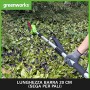 Greenworks Potatrice ad Asta e Taglia Siepi a Batteria 2in1 G24PSHK2 Li-Ion 24V 20 cm di Lunghezza della Spada e 51 cm con Spess