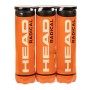HEAD 3X4B Radical, Palline Tennis Unisex Adulto, Giallo, Taglia unica