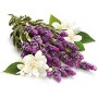 Glade Glade Discreet, Doppia Ricarica, Deodorante per Ambienti, Fragranza Fiori di Lavanda e Gelsomino