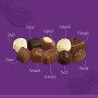 Marchio Amazon - Happy Belly - Selezione di praline di cioccolato belga 500g