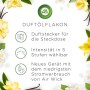 Air Wick Flacone di olio profumato, ricarica a forma di stella celeste, fragranza fresca per ambienti con oli essenziali, set da