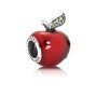Pandora Bead Charm Donna argento - 791572EN73
