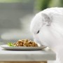 Gourmet Purina Perle Umido Gatto Duetti di Mare con Pesce Dell'Oceano e Tonno - 24 Buste da 85 g Ciascuna (Confezione da 24 x 85