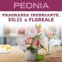 Mrs Meyer's Clean Day Set Pulito, 1 Spray Multisuperficie + 2 Detergente Concentrato Multisuperficie, Fragranza Peonia, Prodotti