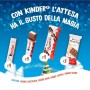 Kinder Sacchetto Happy Snack - 10 pezzi (290,5g)