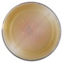 Fabbri - Mixy fruit Passion Fruit - 650g
