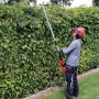 Einhell 4501280 Tagliasiepi/Svettatoio Elettrico, Prolunga Telescopica 50 cm, Impugnatura Supplementare Regolabile, 900 W