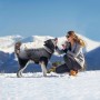 Idepet Giacca per cani Cappotto caldo, Tuta da sci per animali resistente all'acqua, Abbigliamento per cani riflettente antivent