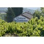 Chateau La Gordonne Vino Rose Chateau la Gordonne - 750 ml