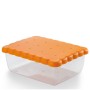 Snips SALVA BISCOTTI - Contenitore rettangolare salvafreschezza da 2,70 lt