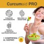 CURCUMA E PIPERINA PLUS 95% - 60 Compresse curcuma e piperina IN BLISTER con estratto di Zenzero e Boswellia [formula ONE A DAY]