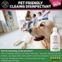 C&G Animali Domestici | DISINFETTANTE DETERGENTE per Animali Domestici 500ML | 100% ENZIMI Naturali Controllo DELL'ODORE | Formu