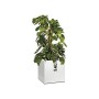 Elho Vivo Vaso da fiori finitura opaca, bianco, realizzato con materiali riciclati