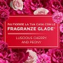 Glade Candele Profumate, Set da 4, con Oli Essenziali, 2 Fragranze Romantic Vanilla e 2 Fragranze Peony & Cherry, Lunga Durata F