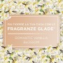 Glade Candele Profumate, Set da 4, con Oli Essenziali, 2 Fragranze Romantic Vanilla e 2 Fragranze Peony & Cherry, Lunga Durata F