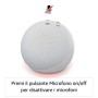 Nuovo Echo Dot (4ª generazione) - Antracite + Amazon Smart Plug (presa intelligente con connettività Wi-Fi), compatibile con A