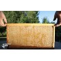1 kg Bio Miele di Acacia Crudo Liquido, Non Riscaldato, non Pastorizzato