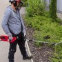 Einhell 4501280 Tagliasiepi/Svettatoio Elettrico, Prolunga Telescopica 50 cm, Impugnatura Supplementare Regolabile, 900 W