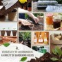 Nutley di, 42 ml, Piccoli vasetti di marmellata (30 Pezzi)