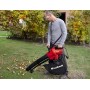 Einhell 3433290 GC-El 2600 E Soffiatore/Aspiratore Elettrico per Foglie, 2.600 W, Rosso/Nero