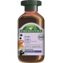 Antica Erboristeria 2 in 1 Shampoo Nutriente Latte di Mandorla, Shampoo e Balsamo per Capelli Rovinati con Ingredienti Naturali,