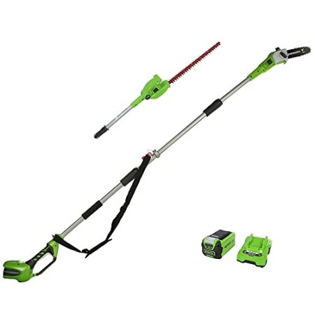 Greenworks Potatrice e Tagliasiepi Telescopico 2in1 G40PSHK2 Li-Ion 40V, 51 cm/20 cm Lunghezza Spada 18 mm, Spessore di Taglio 2