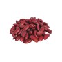 Fagioli Rossi 500g BIO