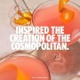 Absolut Vodka Citron, 1 l
