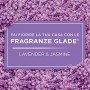 Glade Automatic Spray Profumatore per Ambienti Base con Ricarica, Fragranza Relaxing Zen, 1 Erogatore + 1 Ricarica 269 ml