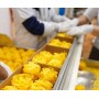 Le Veneziane Fettucce senza Glutine, 250g