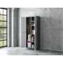 Keter Linear Portascope - Armadio con 3 ripiani regolabili, Grigio, 68 x 39 x 173 cm