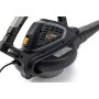 Alpina Soffiatore + Aspiratore elettrico ABL 2.6 E, 2600 W, Bianco, Sacco di Aspirazione 45 litri