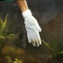 JBL Guanto per la Manutenzione dell’Acquario + Pulitore