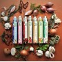 GIA pacco da 6 tubetti misti (Pasta di Peperoncino, Verdure per Soffritto, Pasta d'Aglio, Pasta di Cipolla, Pasta di Scalogno, P