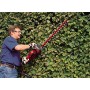 Einhell 3403330 Ge-Eh 6560 Tagliasiepi Elettrico, Lunghezza Taglio 600 mm, Distanza Denti 30 mm, Impugnatura Posteriore Girevole