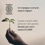 Illy Caffè Macinato Moka Arabica Selection Brasile, 12 Barattoli da 125 gr