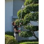 IKRA tagliasiepi telescopico elettrico ITHS 500, incl. tracolla, 500W, lunghezza di taglio 45cm, regolazione dell'angolo di tagl