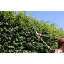 IKRA tagliasiepi telescopico elettrico ITHS 500, incl. tracolla, 500W, lunghezza di taglio 45cm, regolazione dell'angolo di tagl