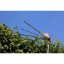 IKRA tagliasiepi telescopico elettrico ITHS 500, incl. tracolla, 500W, lunghezza di taglio 45cm, regolazione dell'angolo di tagl
