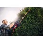 Einhell elettrico Tagliasiepi GE EH 7067 (700 W, lunghezza di taglio 670 mm, 30 mm dente distanza, taglio da collezione, Fermaca