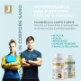 Jarmor Vitamina C 1000mg Integratore | Vitamina D 2000 UI | ZINCO Alto Dosaggio 60 Capsule Vegan