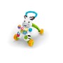 Fisher Price Zebra Primi Passi Spingibile, Giocattolo Elettronico Educativo con Musica e Suoni, per Bambini di 6 + Mesi, DLD91