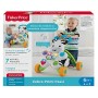Fisher Price Zebra Primi Passi Spingibile, Giocattolo Elettronico Educativo con Musica e Suoni, per Bambini di 6 + Mesi, DLD91