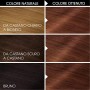 Garnier Tinta Capelli Olia, Colorazione Permanente senza Ammoniaca per una Fragranza Delicata, Copre il 100% dei Capelli Bianchi