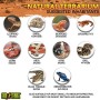 Exo Terra PT2610 Terrario in Vetro 60X45X45 Cm Inclusa Parete Posteriore