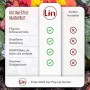 LIN Biglietto Pop Up 3D per matrimonio, invito di nozze, San Valentino, biglietti di auguri, motivo: coppia che si bacia/alberi 