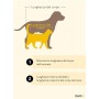 dibea Letto cani cuscino cani cuscino reversibile taglia (M) 60x48 cm grigio/nero